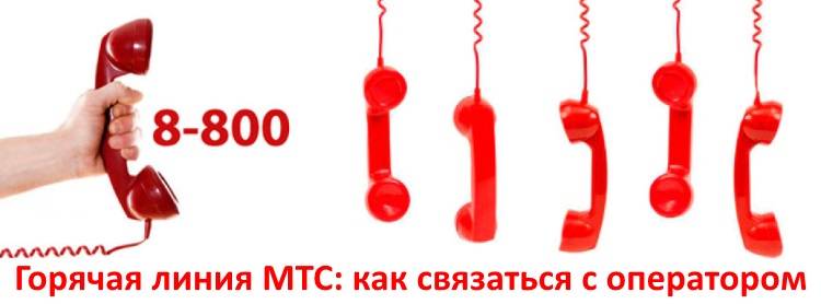 Телефон горячей линии айкос, служба поддержки айкос, бесплатная горячая линия 8-800