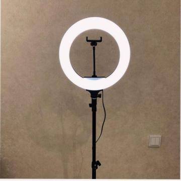 Лампа для тик тока: сколько стоит кольцевая модель