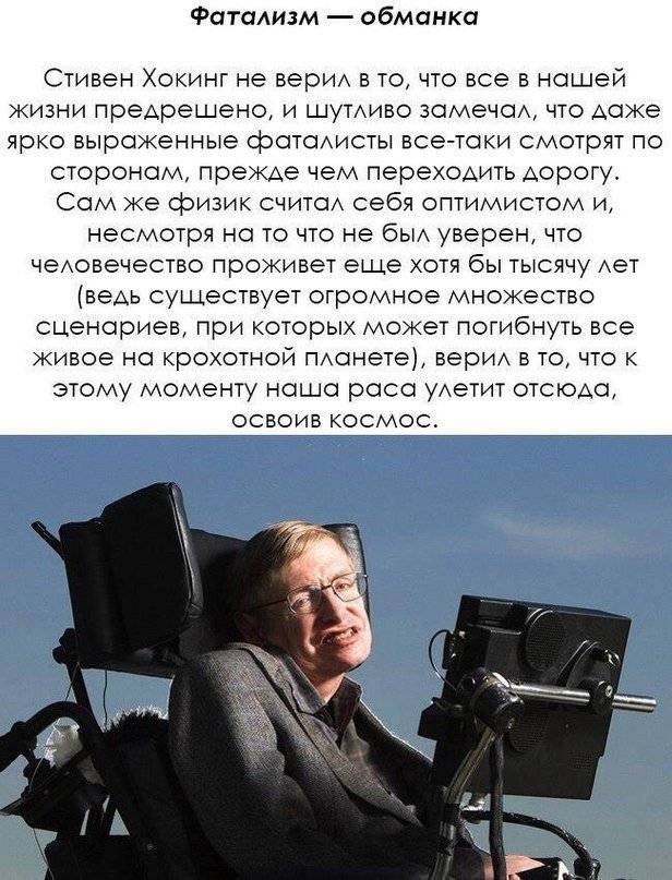 Хокинг перед смертью предсказал гибель человечества // нтв.ru