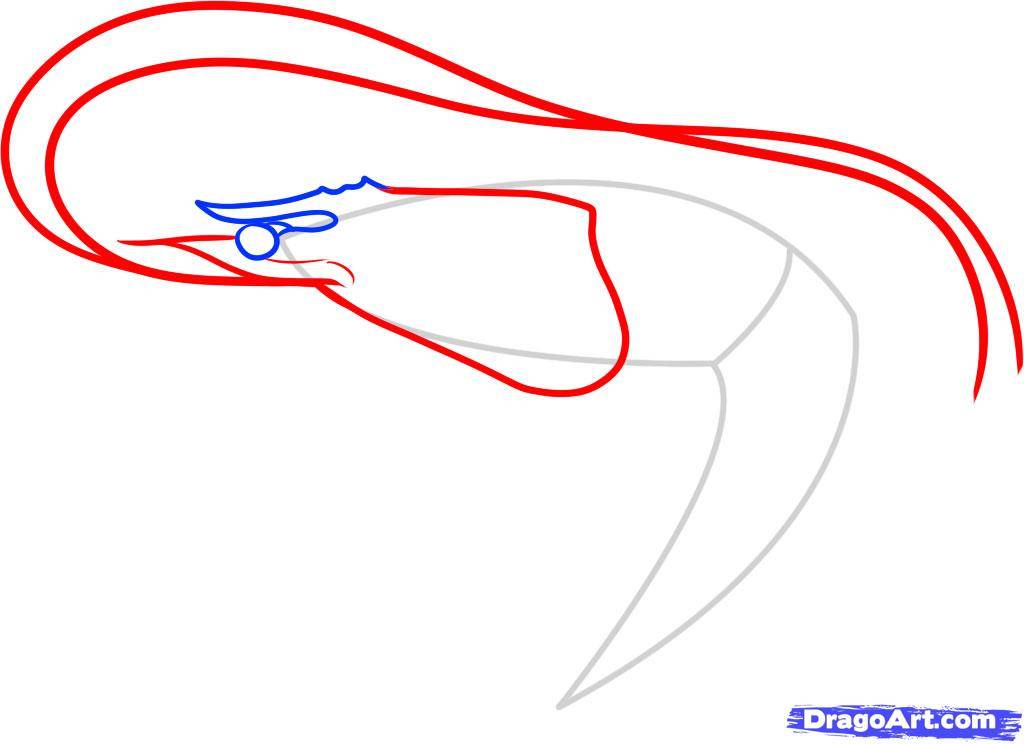 Рисунок чарли из тик тока: как нарисовать дамелио
