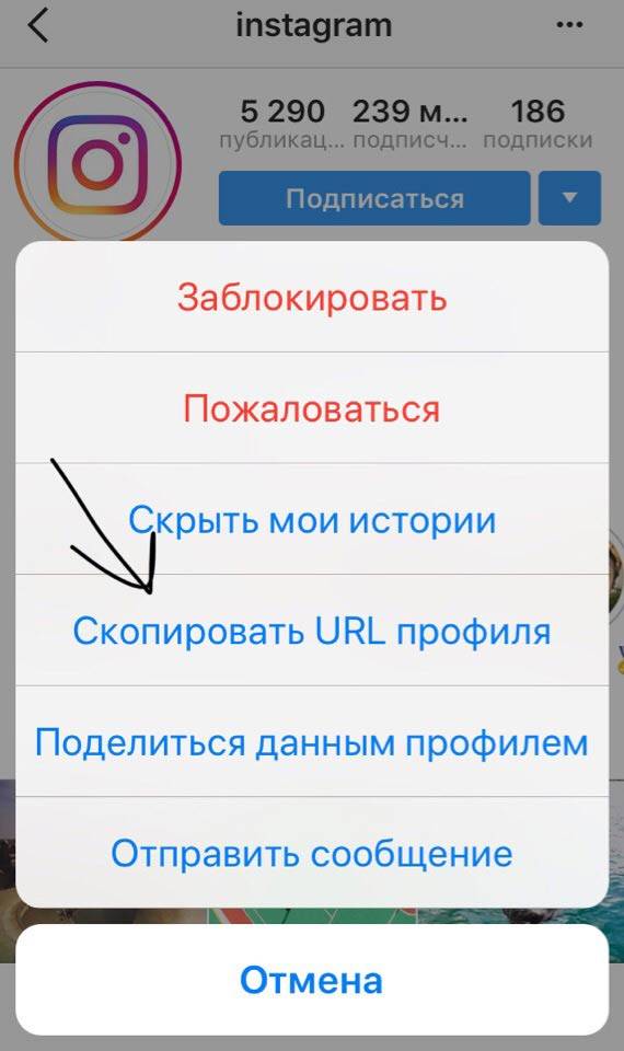 Почему ссылка на инстаграм. Скопировать свою ссылку в инстаграме. Скопировать ссылку в инстаграме своего профиля. Скопировать ссылку на свой Инстаграм. Как склпировать смылку в инстограмме.